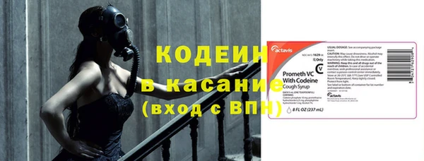 ГАЛЛЮЦИНОГЕННЫЕ ГРИБЫ Белоозёрский